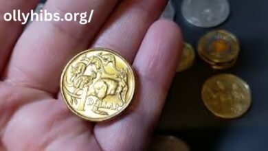 LookWhatMomFound Give Aways