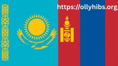 Kazakhstan Flag