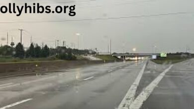 I-75 Power Line Shutdown