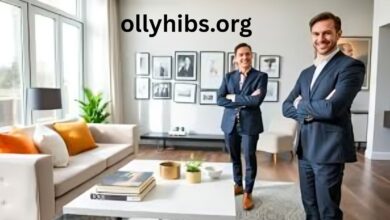 About DecoratorAdvice .com