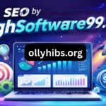 SEO Service HighSoftware99.com