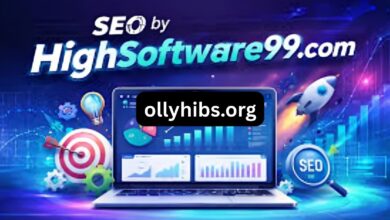 SEO Service HighSoftware99.com