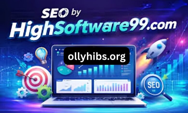 SEO Service HighSoftware99.com