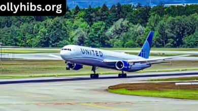 Best Airlines for Long Flights