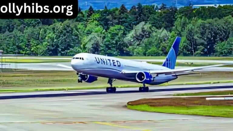 Best Airlines for Long Flights