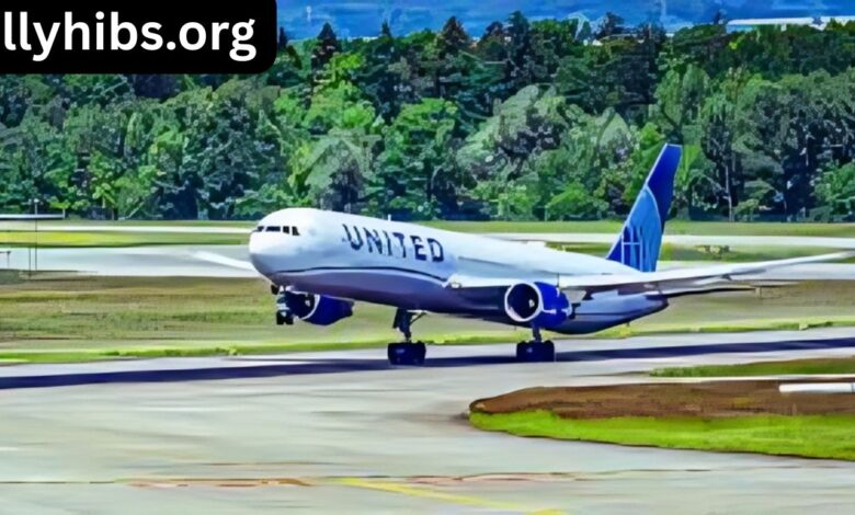 Best Airlines for Long Flights