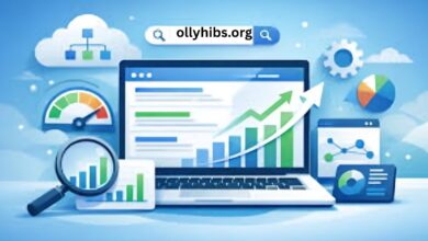 SEO Instant Appear HighSoftware99.com